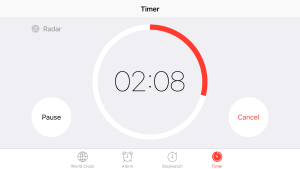 use a timer during brain break